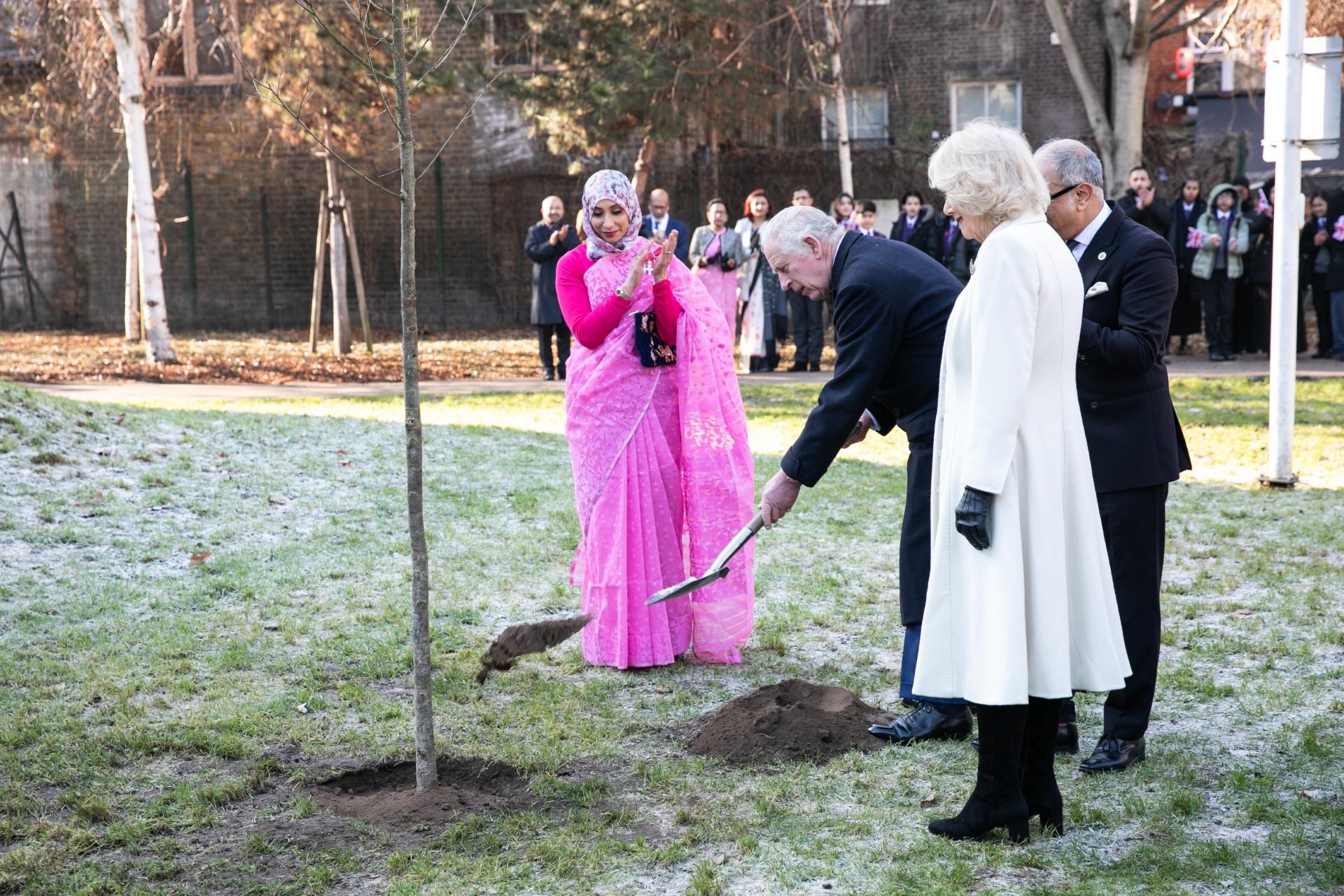 Tree planted by His Majesty The King